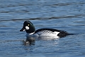 18 02 16_1943_edited-1